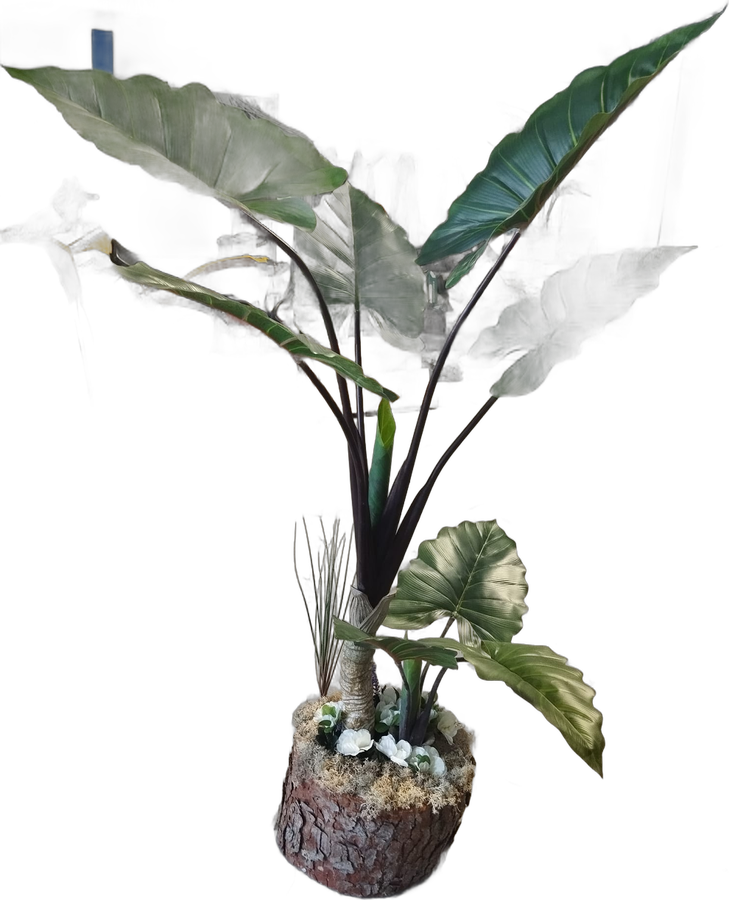 Combinación de Alocasia artificial sobre tronco de pino