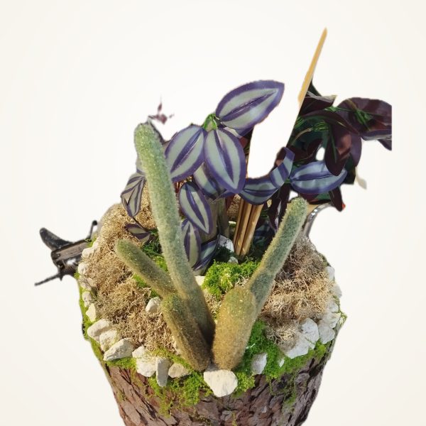 Combinación 1 · Monstera sobre tronco de pino, con tradescantia y bambú