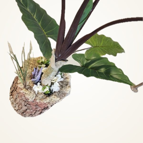 Combinación 2 · Alocasia sobre tronco de pino
