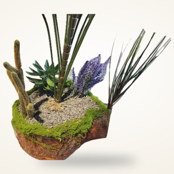 Combinación 3 · Palmera, vista completa