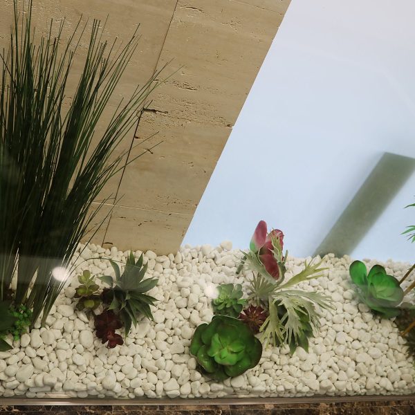 Jardinera de interior con suculentas y chino blanco