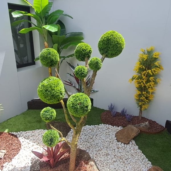 Detalle del topiario en bola del jardín