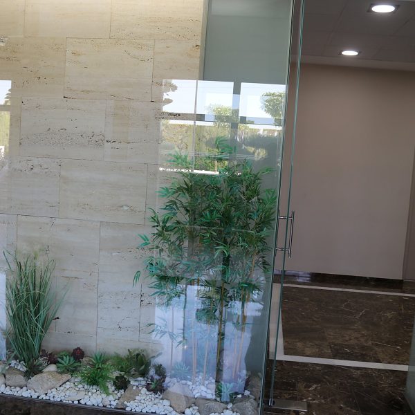 Recepción con jardinera de gramíneas